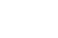 The University of Chicago